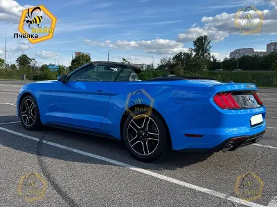 Фото 6 — Ford Mustang, 2022