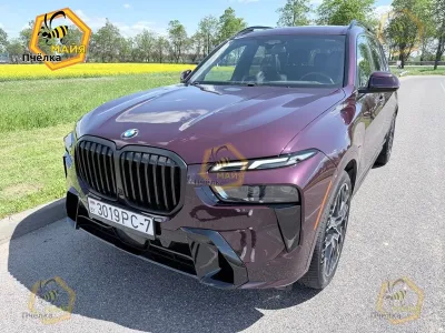 Фото 6 — BMW X7, 2023