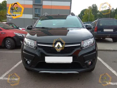 Фото 3 — Renault Sandero Stepway, 2017