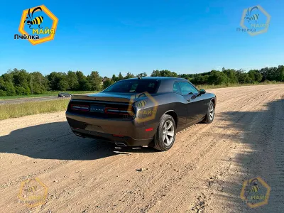 Фото 4 — Dodge Challenger, 2020