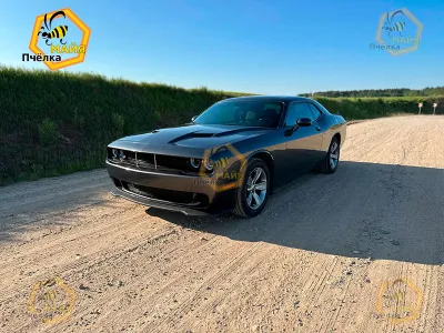 Dodge Challenger, 2020