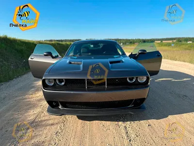 Фото 3 — Dodge Challenger, 2020