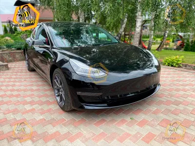 Tesla Model 3, 2019